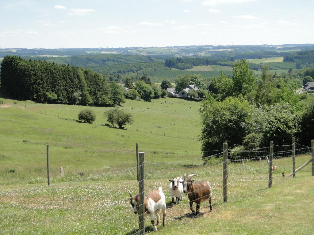 Holiday Home A Pas De Loup La-Roche-en-Ardenne Room photo